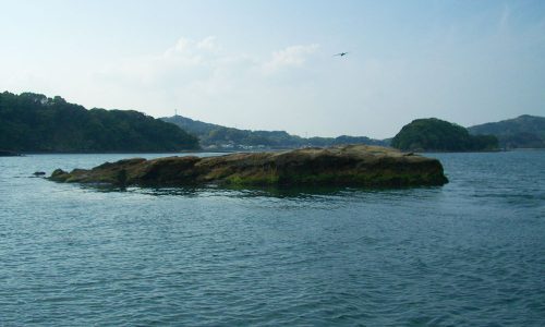 まだ早かった？福島のノッコミ黒鯛