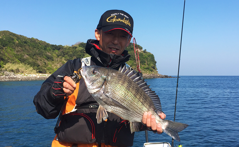 のっこみ本番、鷹島（黒島：象の鼻のハナレ）でチヌ釣行