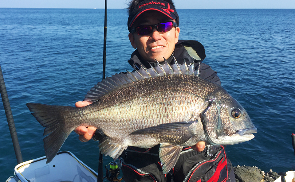 のっこみ本番、鷹島（黒島：象の鼻のハナレ）でチヌ釣行