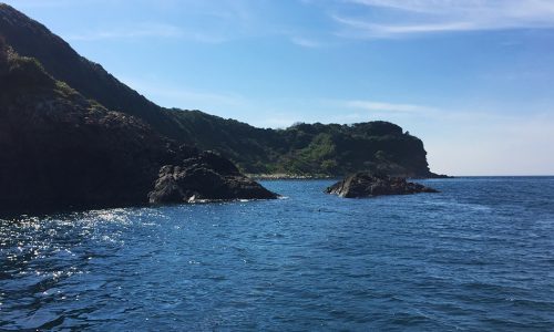 のっこみ本番、鷹島（黒島：象の鼻のハナレ）でチヌ釣行