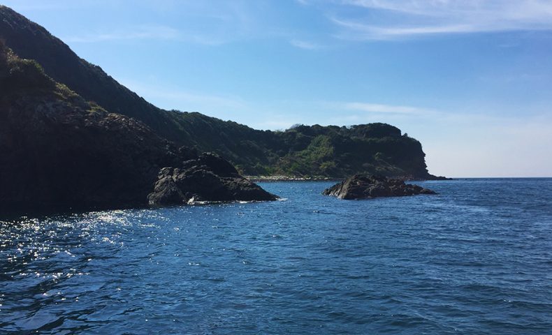 のっこみ本番、鷹島（黒島：象の鼻のハナレ）でチヌ釣行