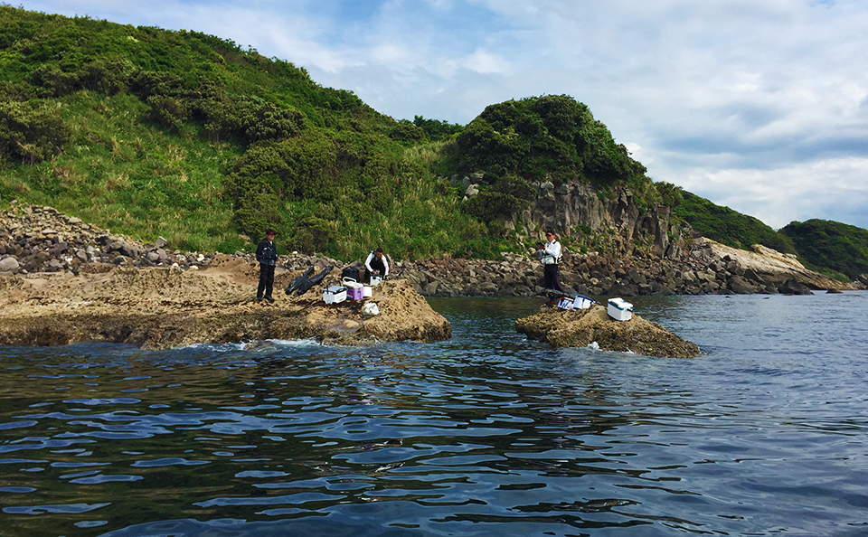 ゴールデンウィーク釣行は近場でチヌ狙い、in 鷹島（黒島）