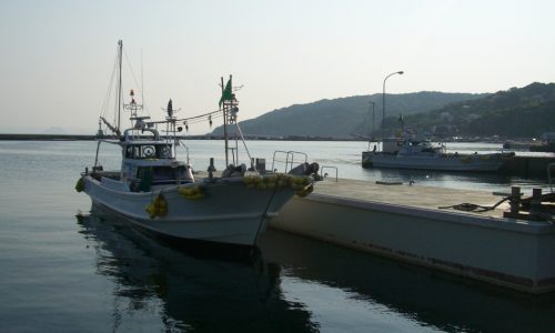 船釣りで高級魚狙い、壱岐の根魚