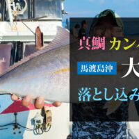 真鯛・カンパチ大漁！馬渡島沖の落とし込み釣り