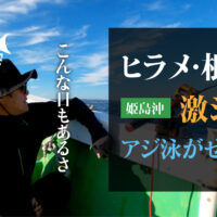 ヒラメ・根魚狙い、激シブのアジの泳がせ釣り（姫島沖）