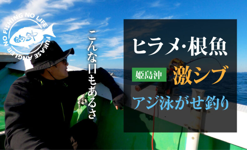 ヒラメ・根魚狙い、激シブのアジの泳がせ釣り（姫島沖）