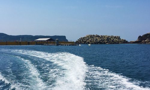 夏は屋根付き筏でダゴチン釣り（鷹島）