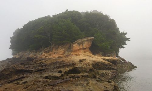 まだまだ磯は暑い、フカセ釣りがしたくて福島（鵜瀬）でチヌ狙い