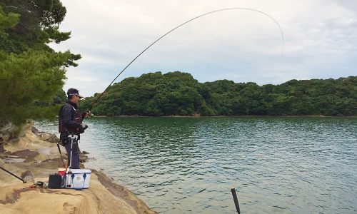 風裏の福島（鵜瀬）で、今年最後の秋チヌ釣行