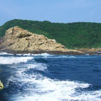 加唐島（対馬瀬）で梅雨グロを狙う