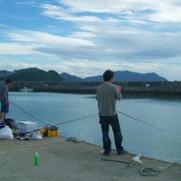 アジのサビキ釣り（西浦漁港）