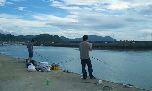 アジのサビキ釣り（西浦漁港）