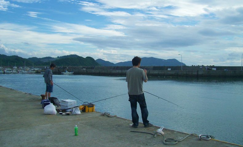 アジのサビキ釣り（西浦漁港）