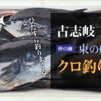 古志岐三礁・沖の瀬（東の船付け）で、ひたすらクロを釣りまくる