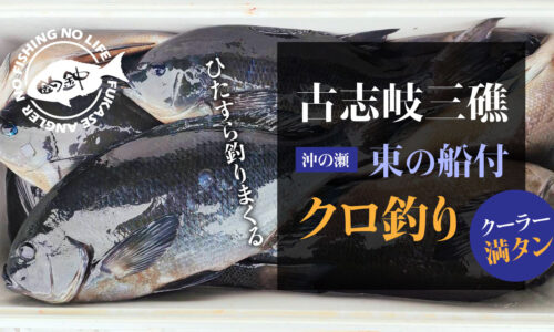 古志岐三礁・沖の瀬（東の船付け）で、ひたすらクロを釣りまくる