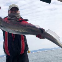 冬の博多湾タチウオテンヤ釣り