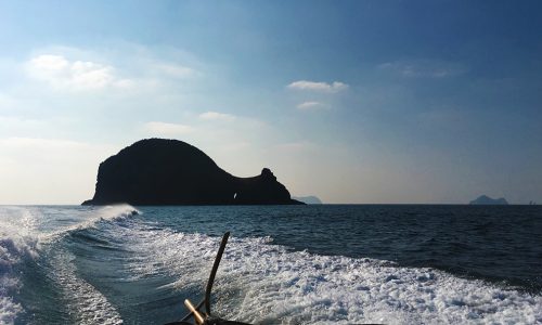 もう待てない、クロ釣りシーズン強行突入！上五島（ホゲ島）