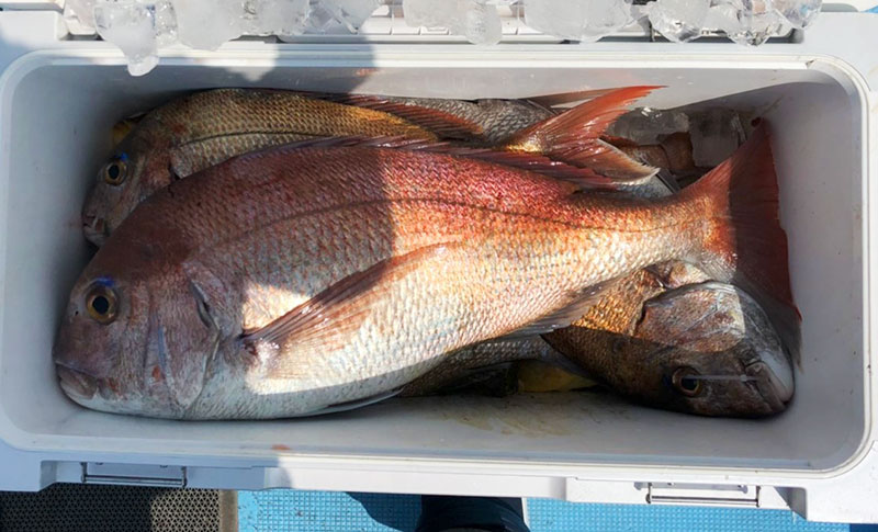 人気のタイラバ釣りは、レバーブレーキがおすすめ！