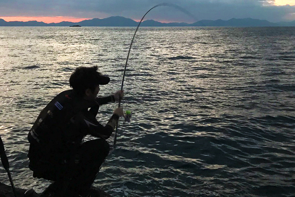 ホゲ島の尾長