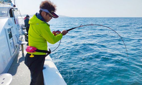 ヒラマサとサワラの刺盛り（落とし込み釣り）