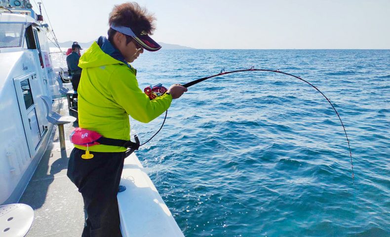 ヒラマサとサワラの刺盛り（落とし込み釣り）